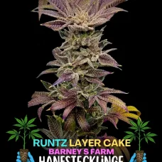 Runtz x Layer Cake